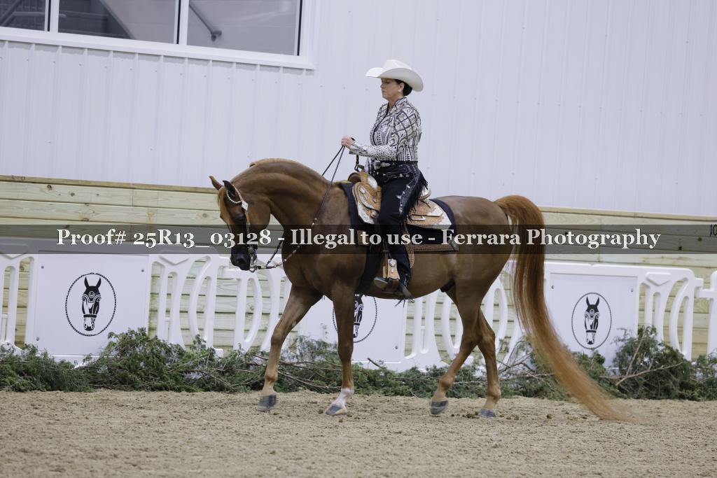 Proof 25R13_03128