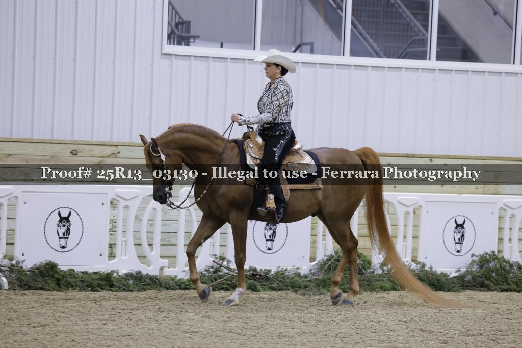 Proof 25R13_03130