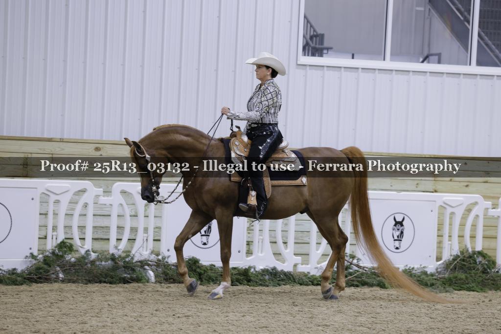 Proof 25R13_03132