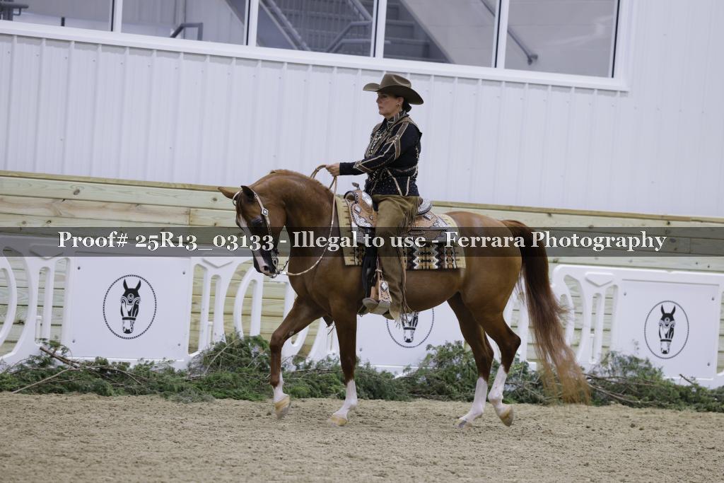 Proof 25R13_03133