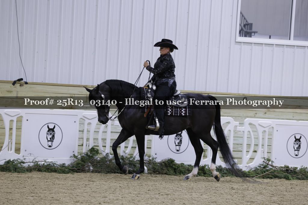 Proof 25R13_03140