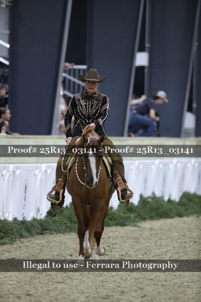 Proof 25R13_03141