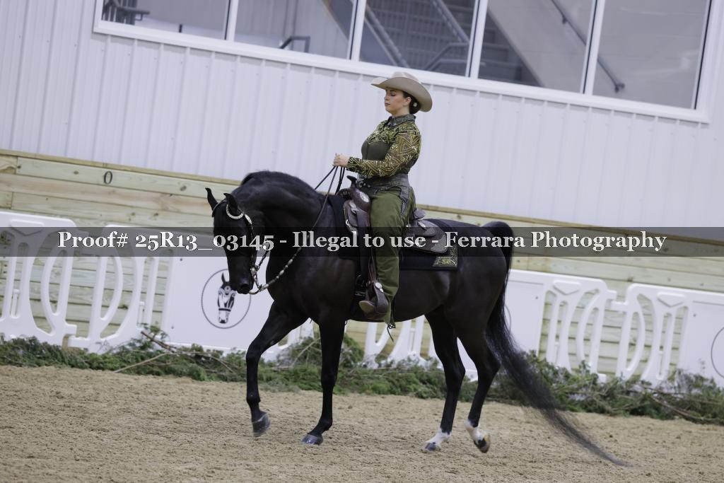 Proof 25R13_03145