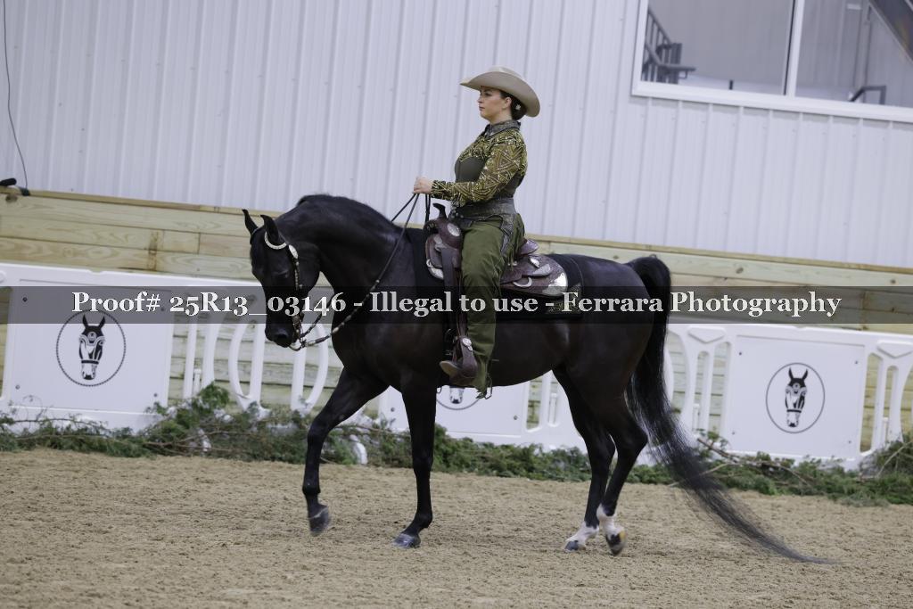 Proof 25R13_03146