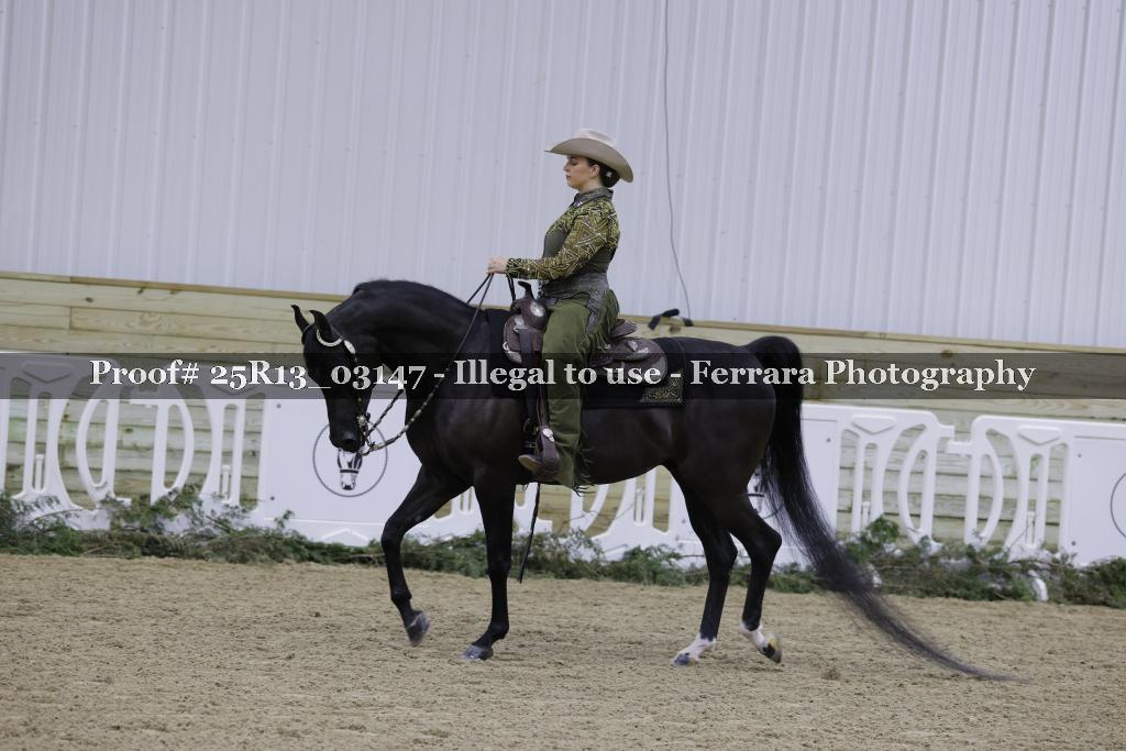 Proof 25R13_03147