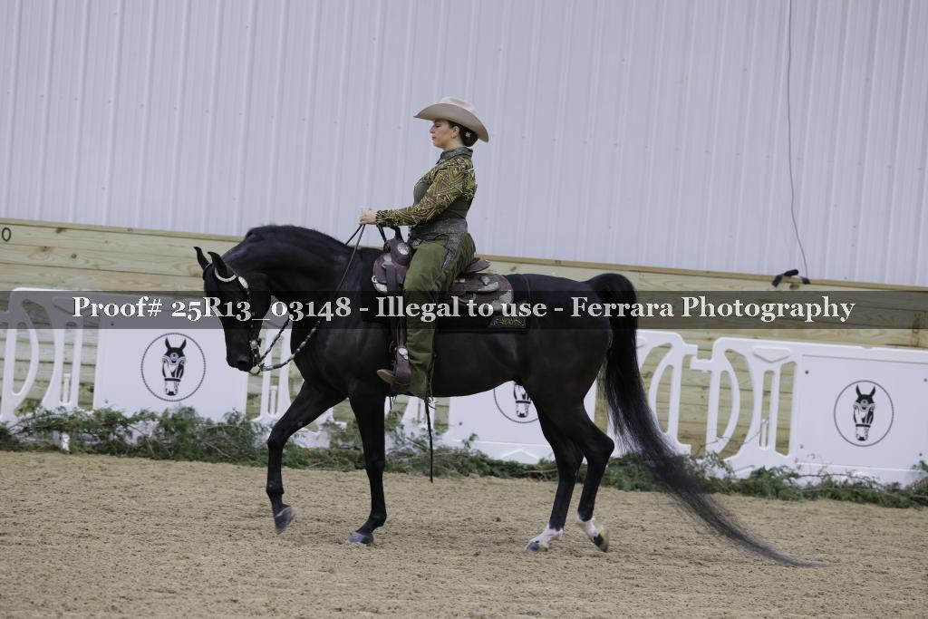 Proof 25R13_03148