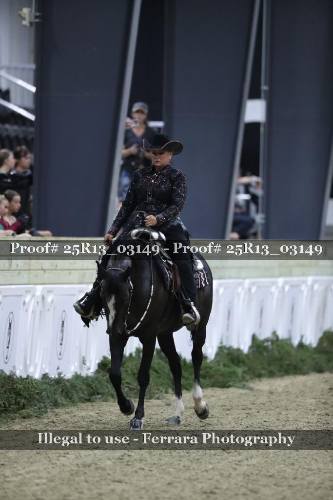 Proof 25R13_03149