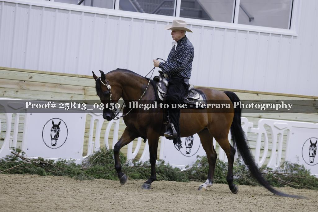 Proof 25R13_03150