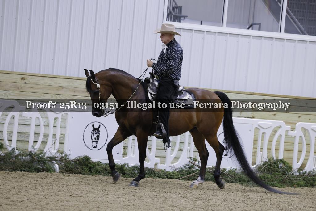 Proof 25R13_03151