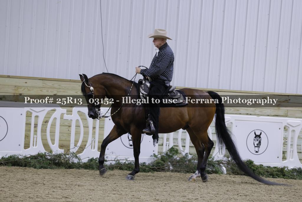 Proof 25R13_03152