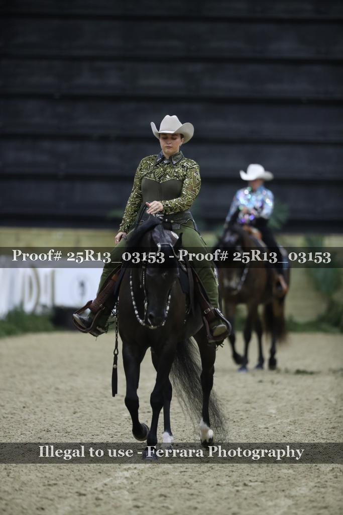 Proof 25R13_03153