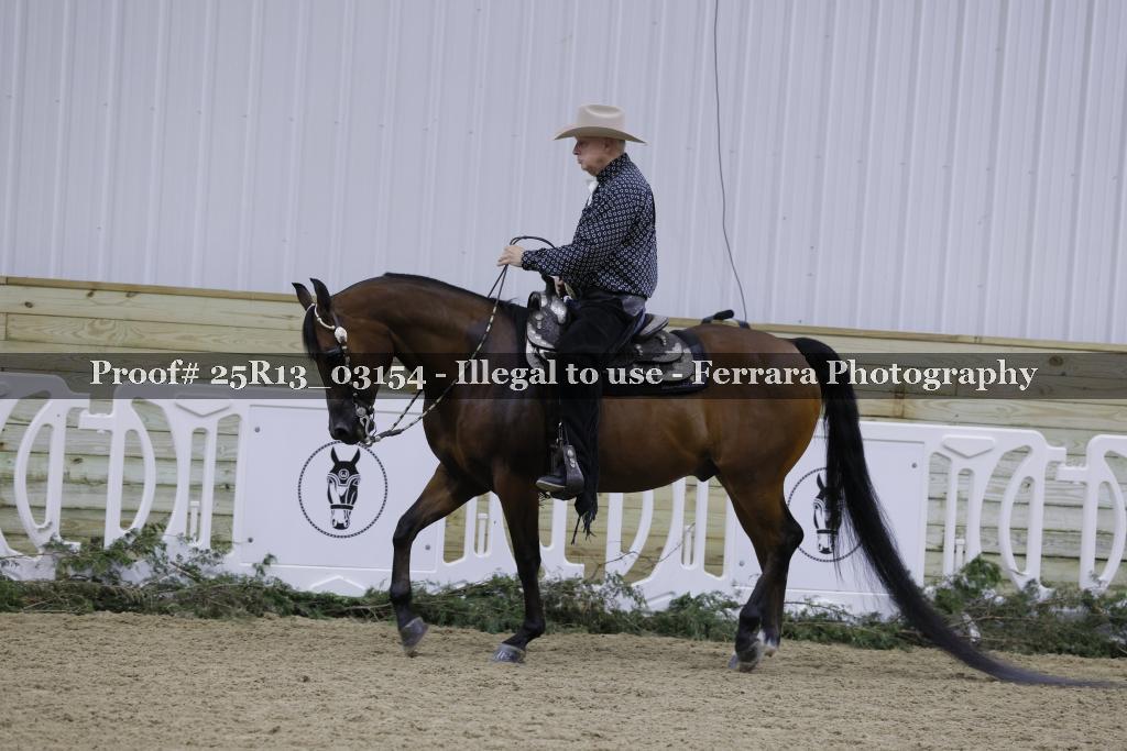 Proof 25R13_03154