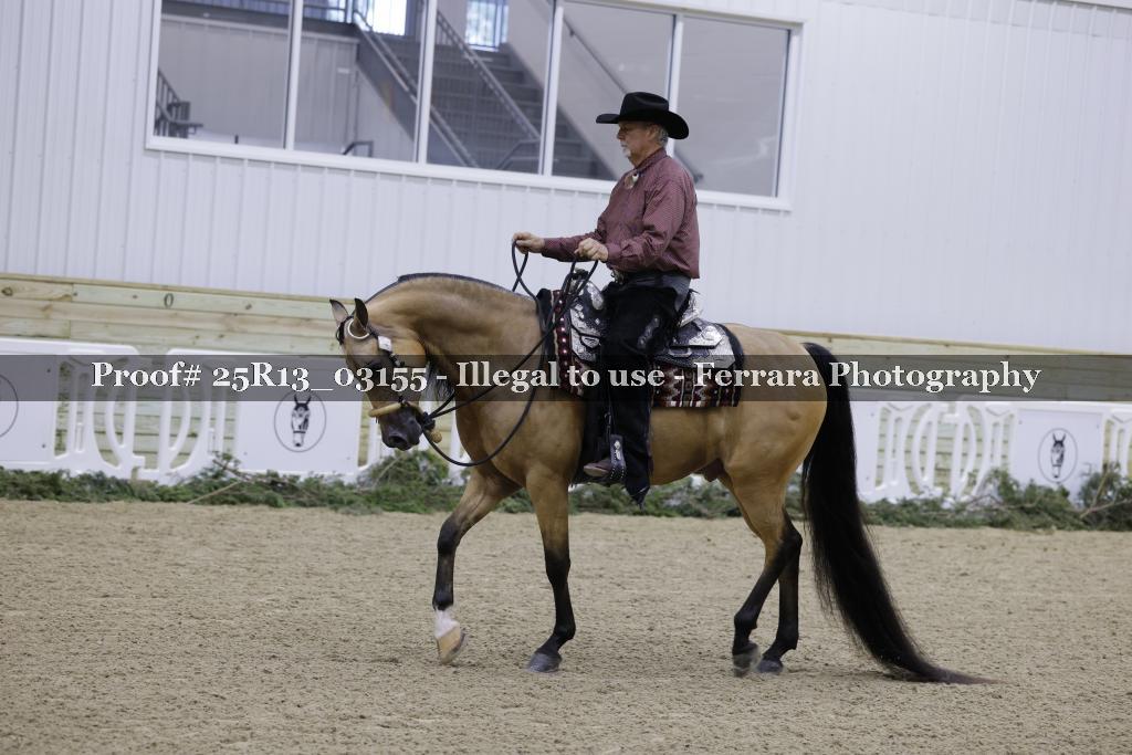 Proof 25R13_03155