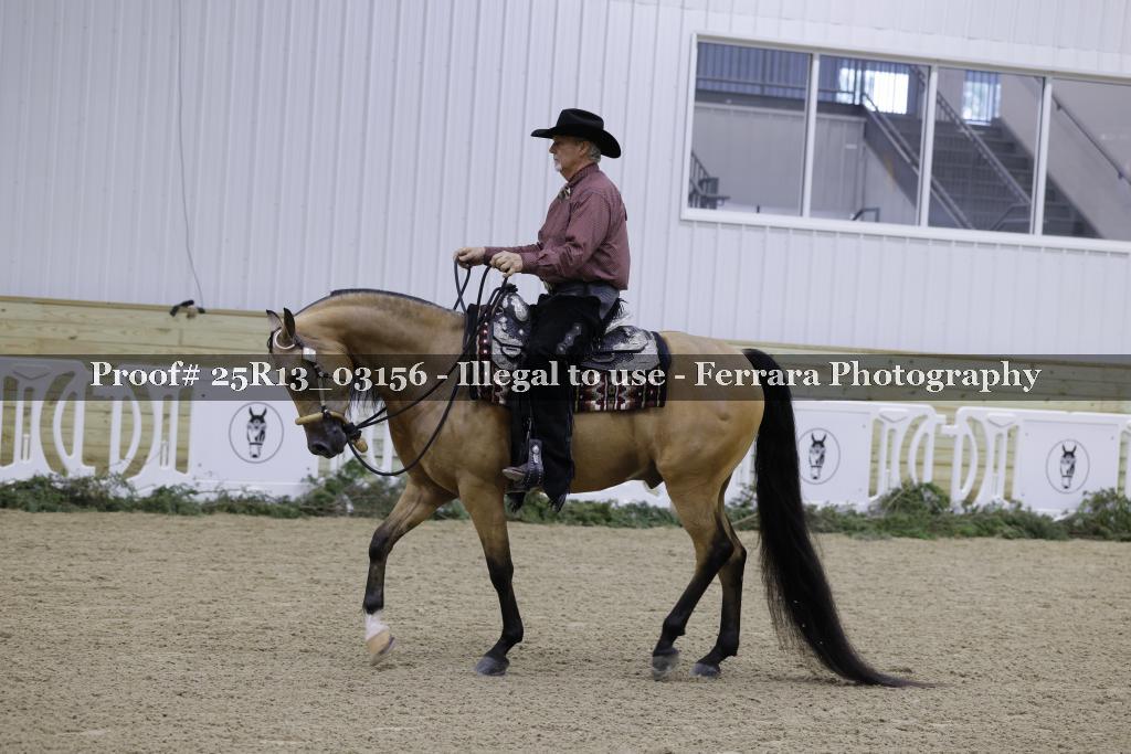 Proof 25R13_03156