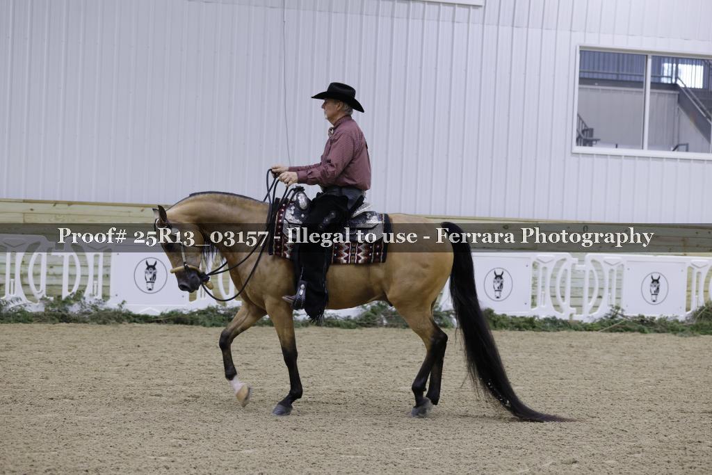 Proof 25R13_03157