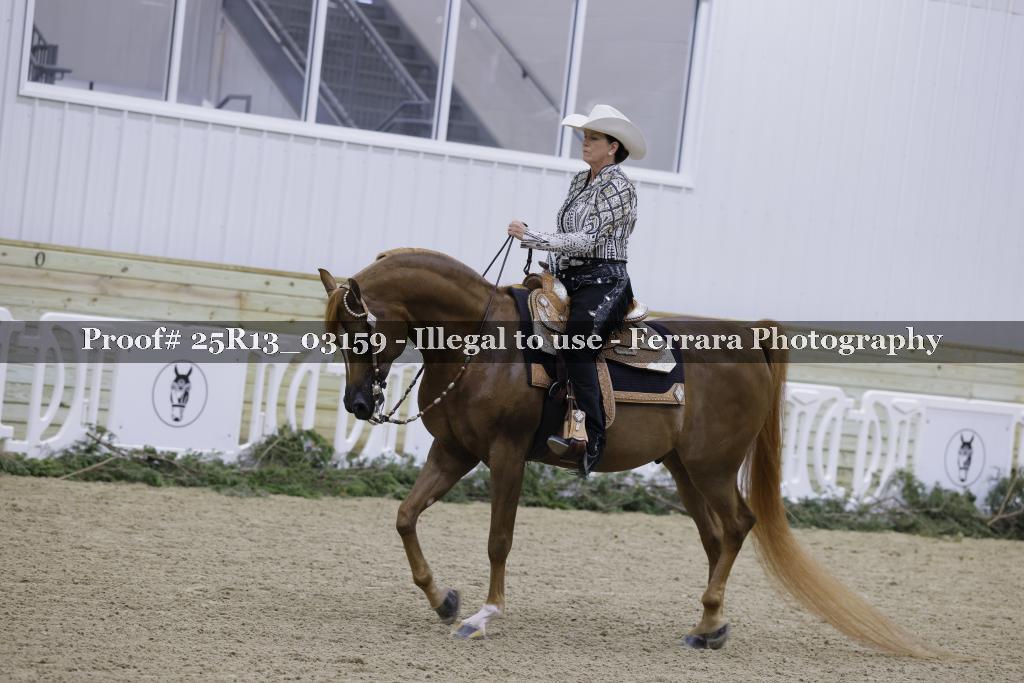 Proof 25R13_03159
