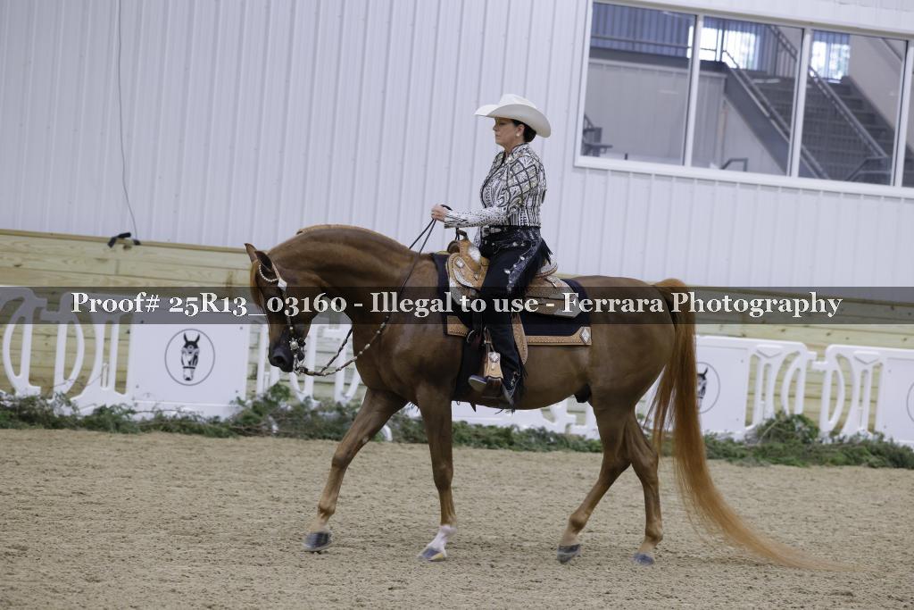 Proof 25R13_03160