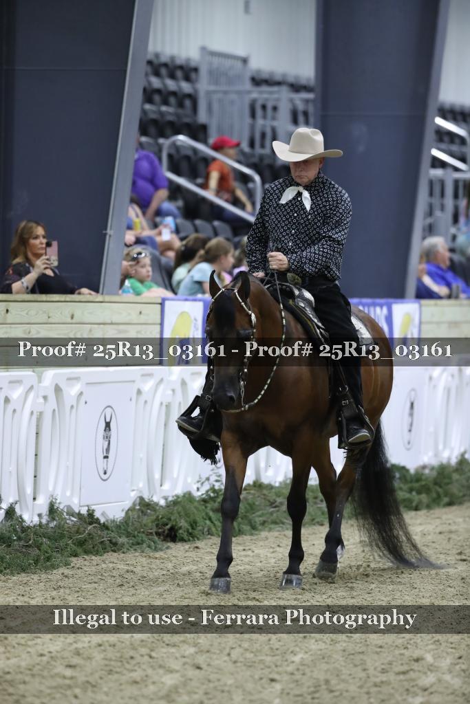 Proof 25R13_03161
