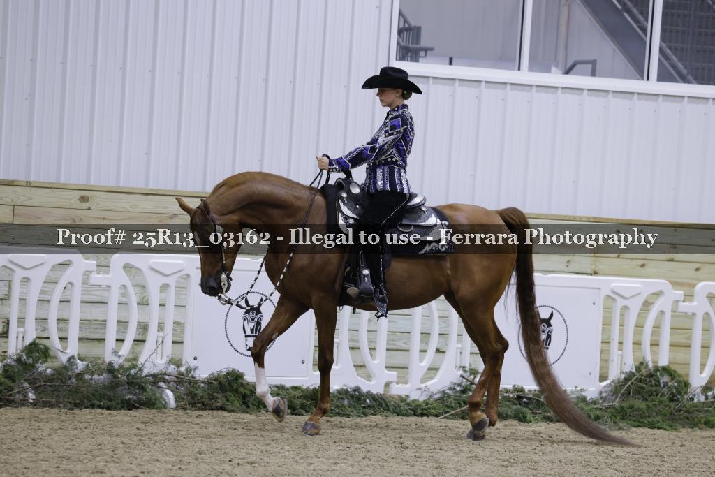 Proof 25R13_03162
