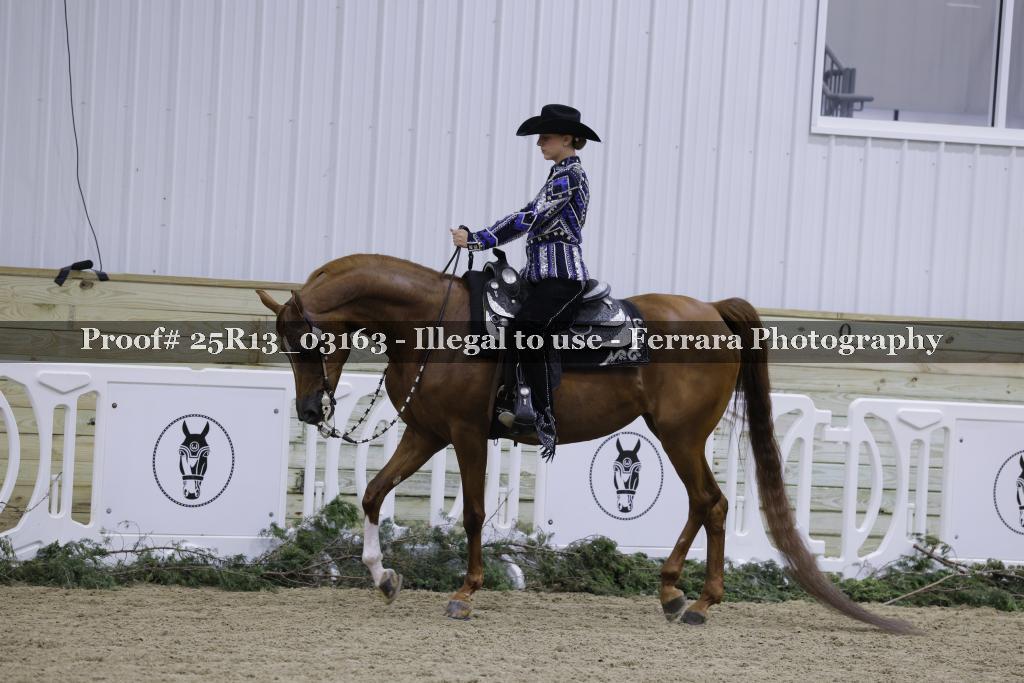 Proof 25R13_03163