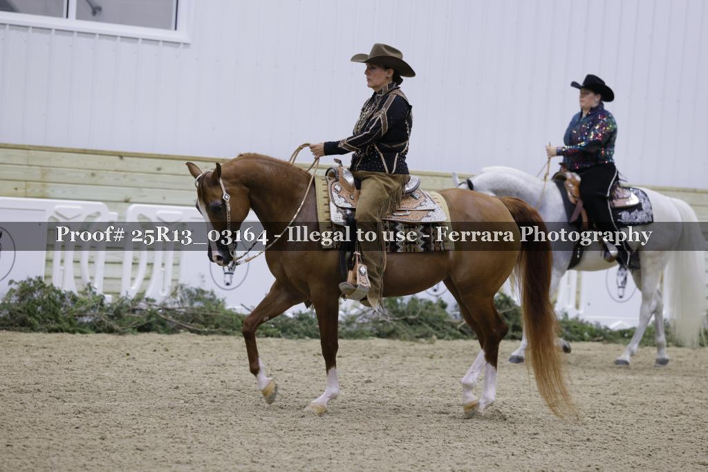 Proof 25R13_03164