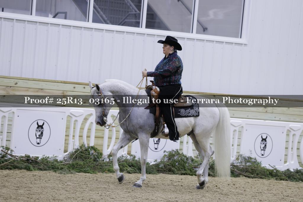 Proof 25R13_03165