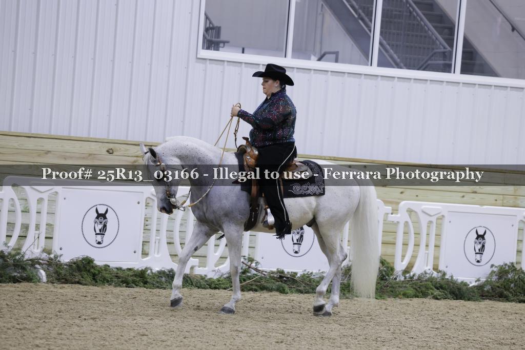 Proof 25R13_03166