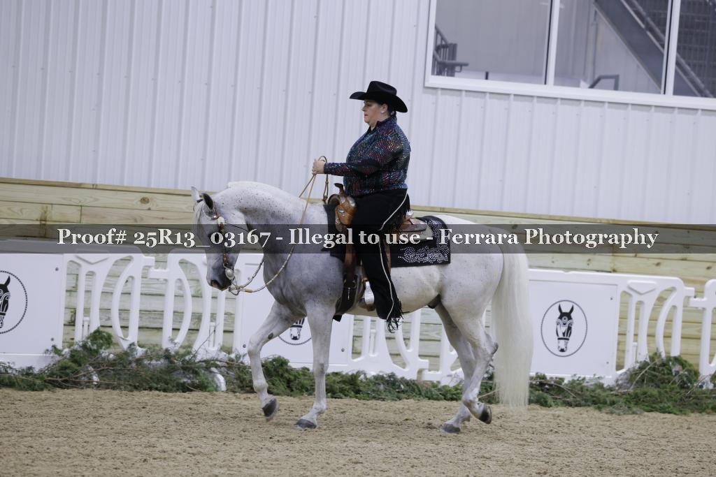 Proof 25R13_03167