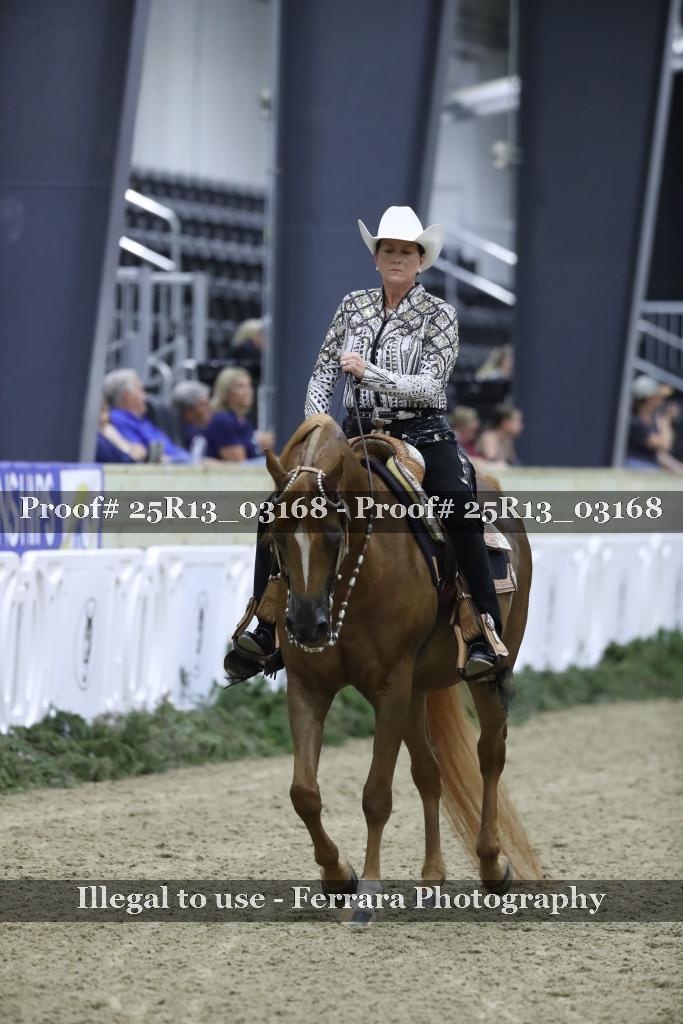Proof 25R13_03168