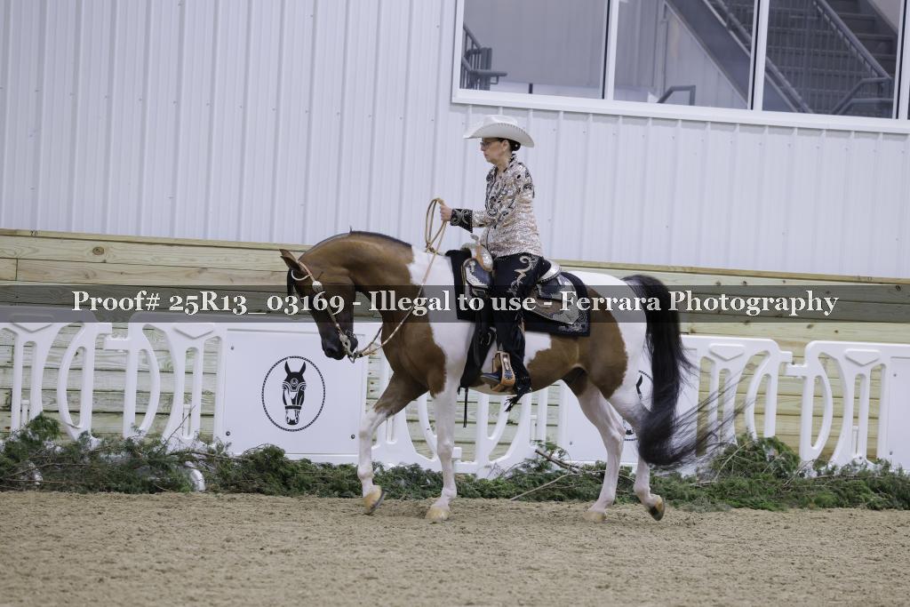 Proof 25R13_03169