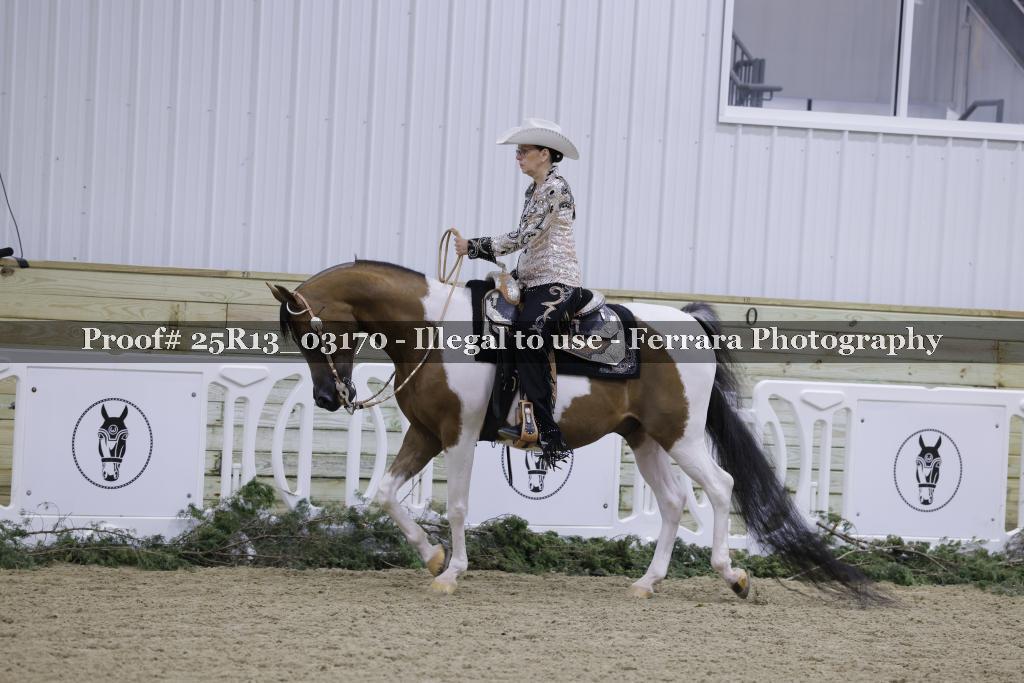 Proof 25R13_03170
