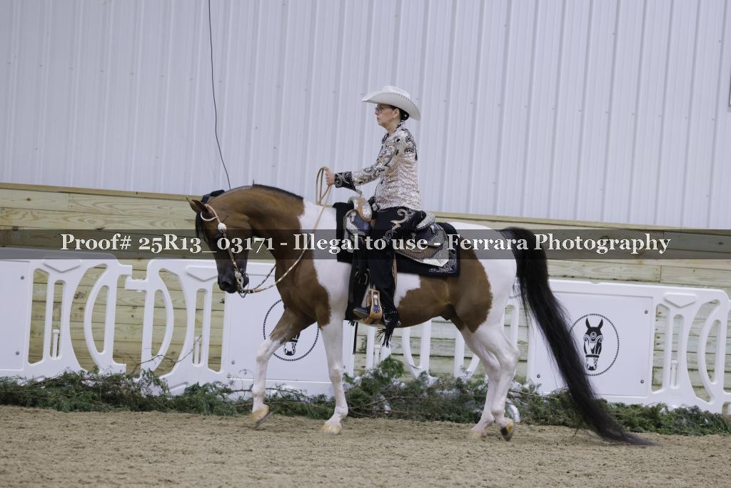 Proof 25R13_03171