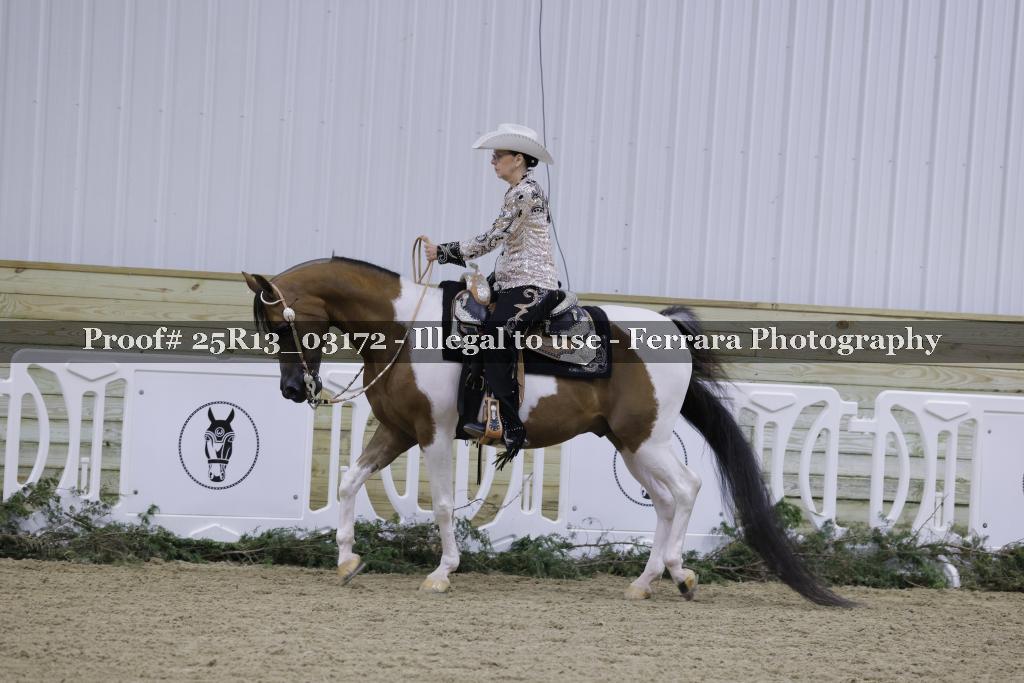 Proof 25R13_03172