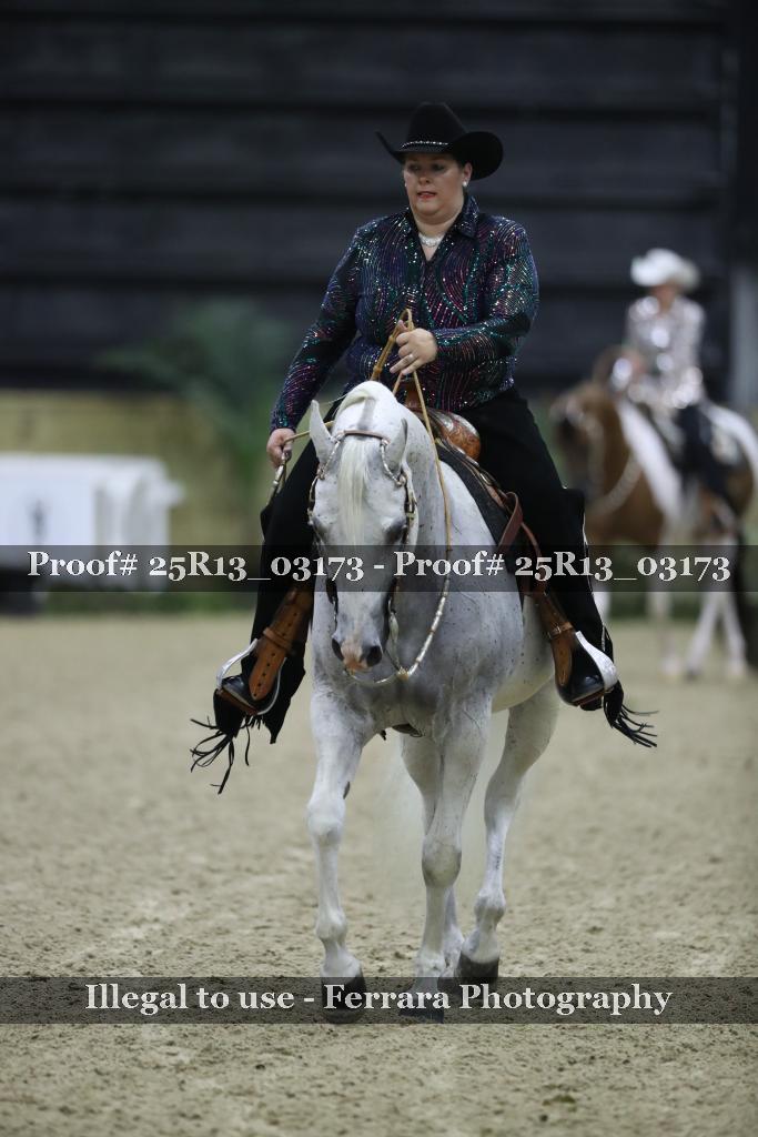 Proof 25R13_03173