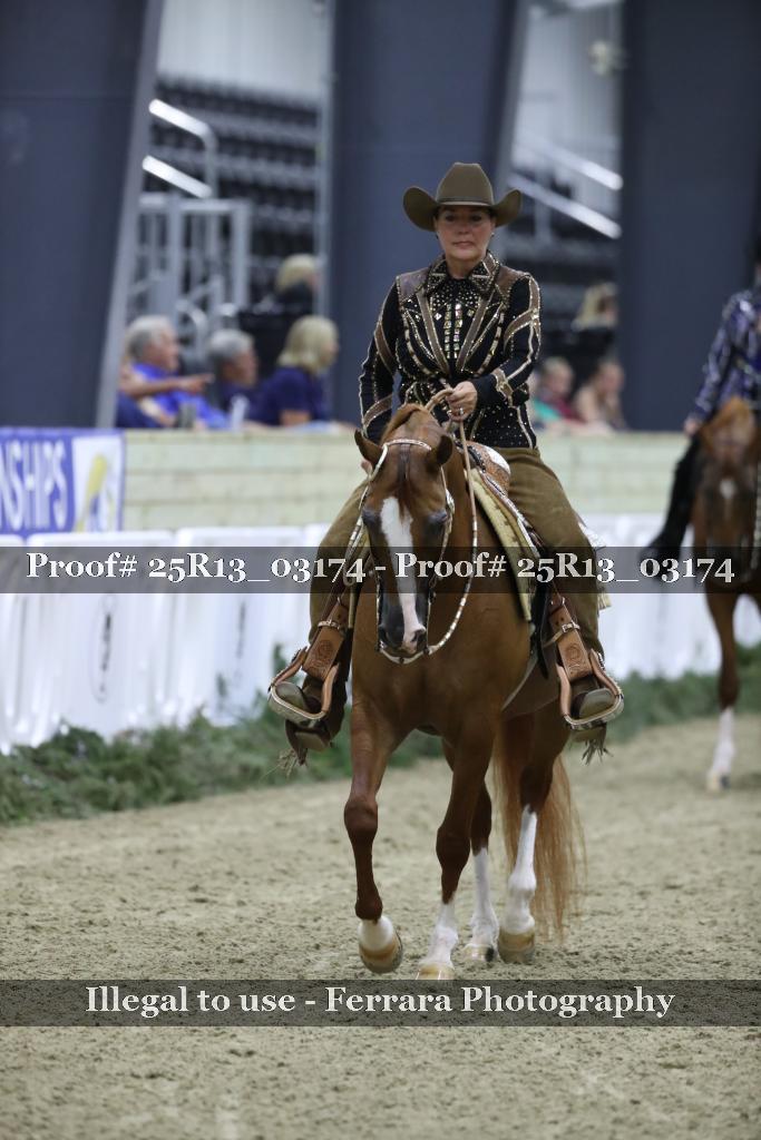Proof 25R13_03174