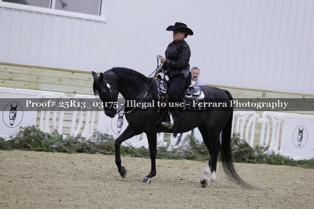 Proof 25R13_03175