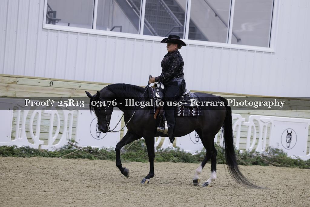 Proof 25R13_03176