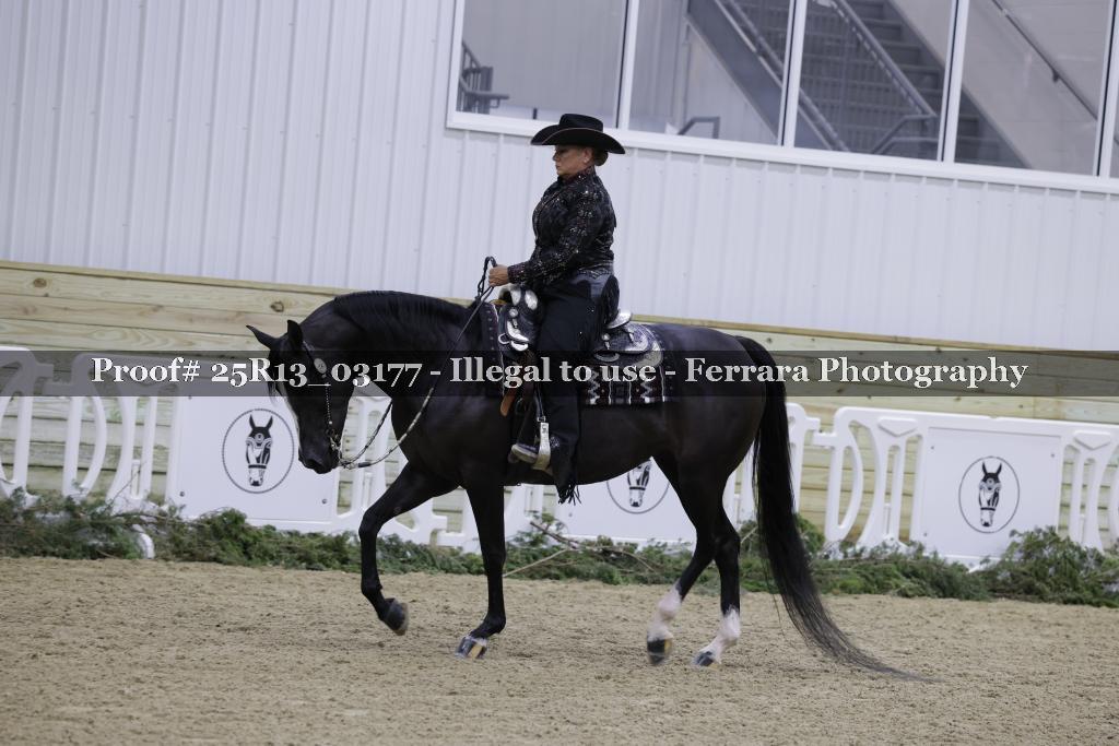 Proof 25R13_03177