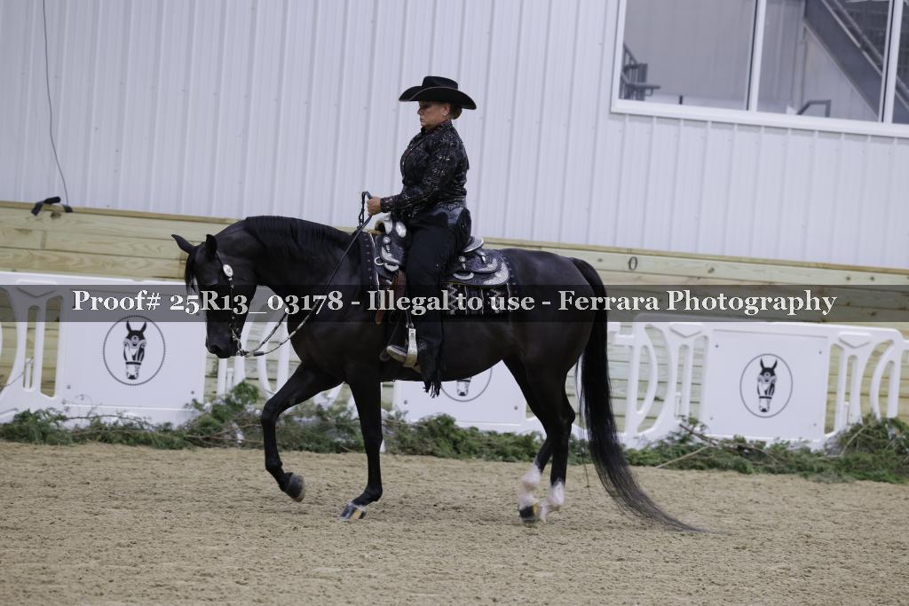Proof 25R13_03178