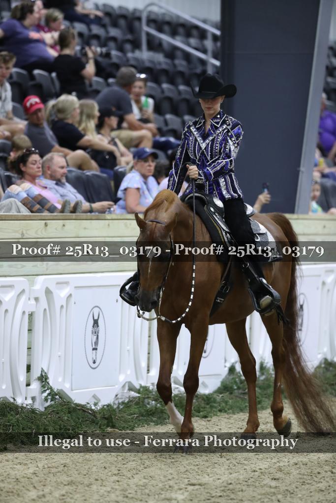 Proof 25R13_03179