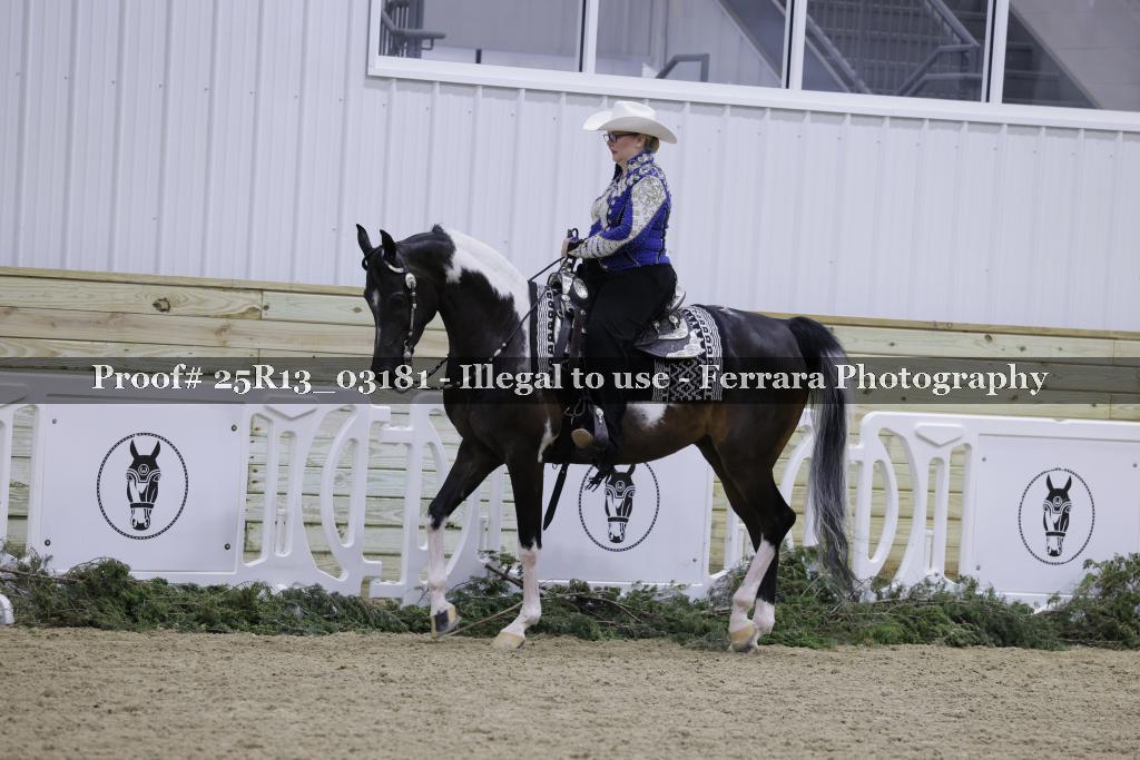 Proof 25R13_03181