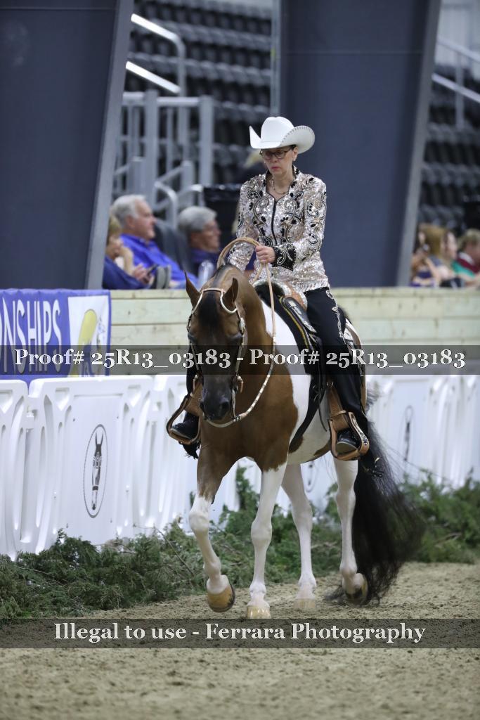 Proof 25R13_03183