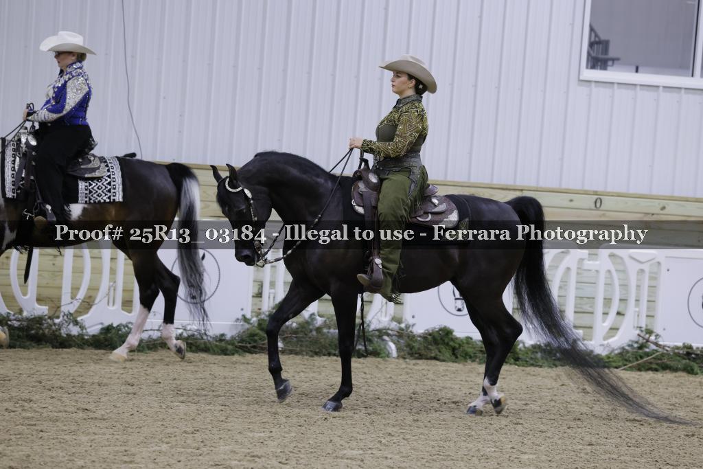 Proof 25R13_03184