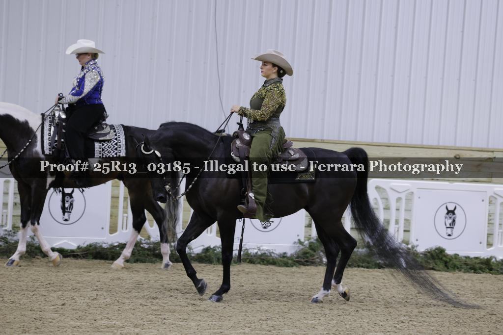 Proof 25R13_03185