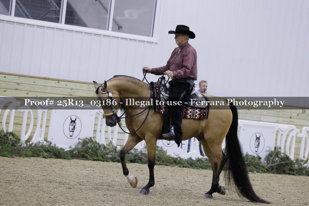 Proof 25R13_03186