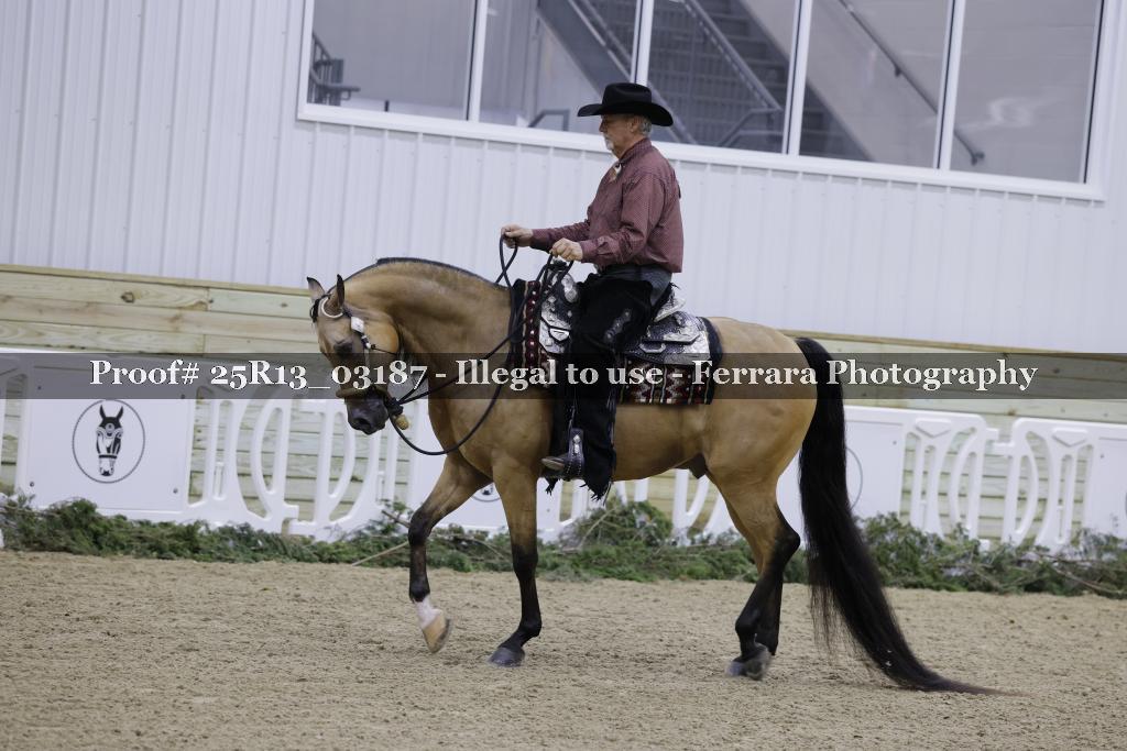 Proof 25R13_03187
