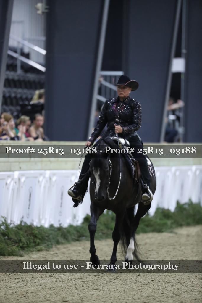 Proof 25R13_03188