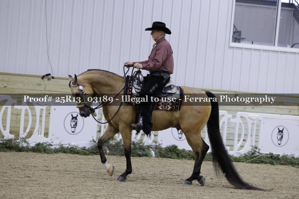 Proof 25R13_03189
