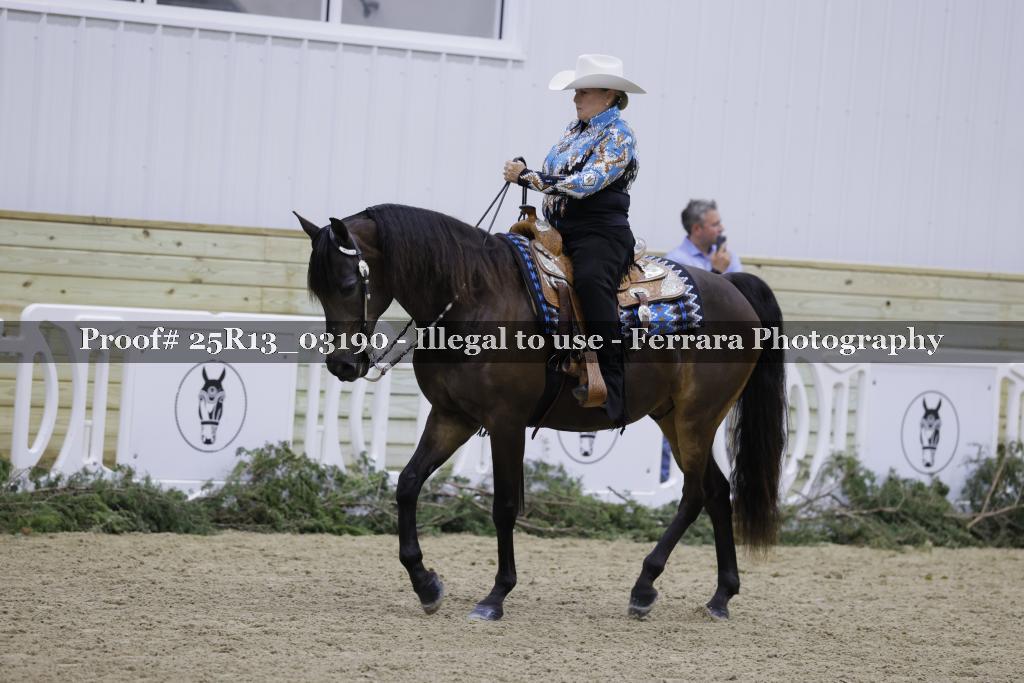 Proof 25R13_03190