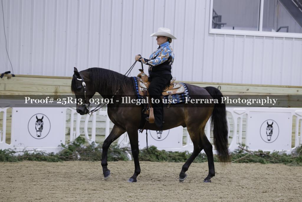 Proof 25R13_03191